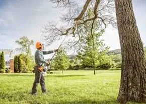 Tree Trimming Near Me in Seattle, WA