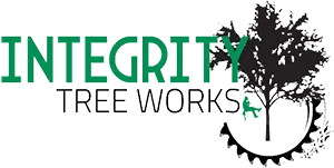 Integrity Tree Works: Expert Tree Service in Seattle, WA